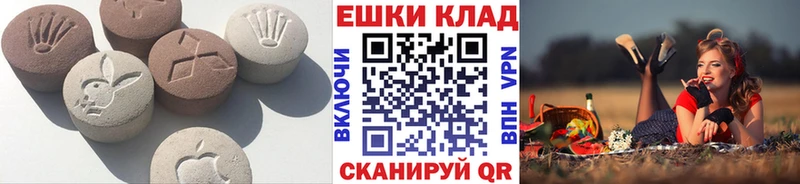 Ecstasy диски  где найти наркотики  Сланцы 