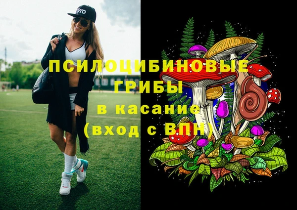 ECSTASY Богородск