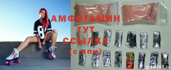 индика Покровск