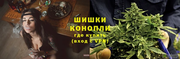 каннабис Белокуриха