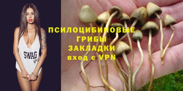 ECSTASY Богородск