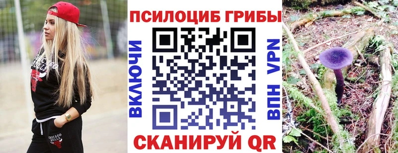 Галлюциногенные грибы MAGIC MUSHROOMS  Сланцы 